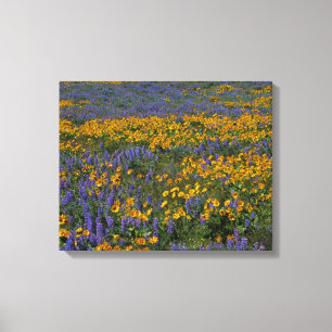 USA, Washington, Columbia River Gorge National Canvas Print