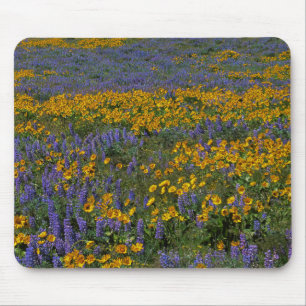 USA, Washington, Columbia River Gorge National Mouse Pad