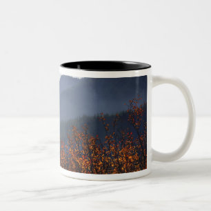 USA, Washington, Columbia River Gorge National Two-Tone Coffee Mug