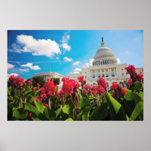 USA, Washington DC, Capitol Building Poster