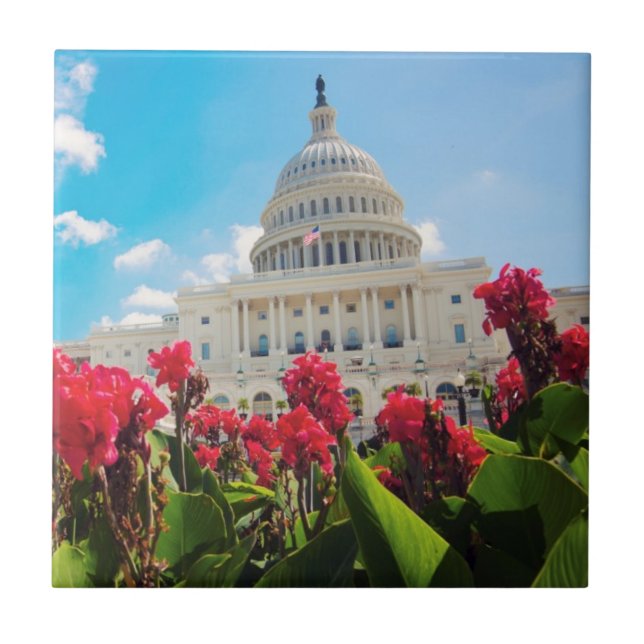 USA, Washington DC, Capitol Building Tile (Front)