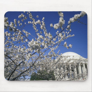 USA, Washington DC. Cherry Blossom Festival and 2 Mouse Pad