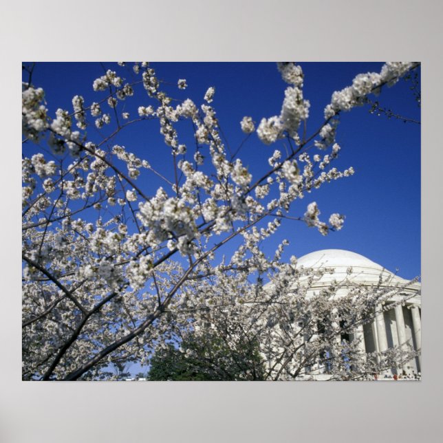 USA, Washington DC. Cherry Blossom Festival and 2 Poster (Front)