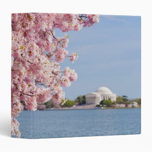 USA, Washington DC, Cherry tree Binder