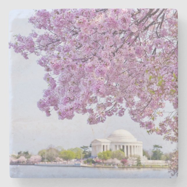 USA, Washington DC, Cherry tree in bloom Stone Coaster (Front)