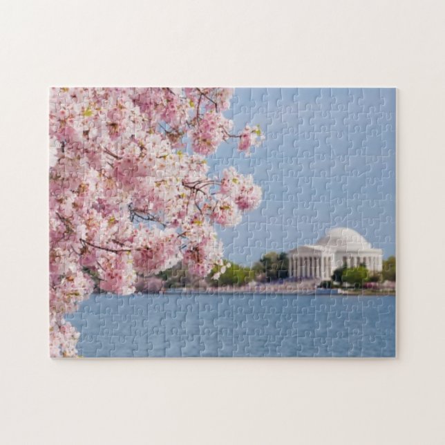 USA, Washington DC, Cherry tree Jigsaw Puzzle (Horizontal)