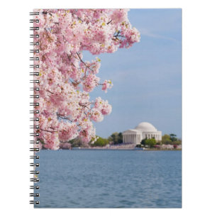 USA, Washington DC, Cherry tree Notebook