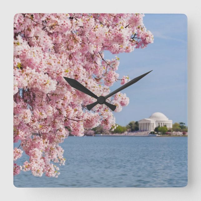 USA, Washington DC, Cherry tree Square Wall Clock (Front)