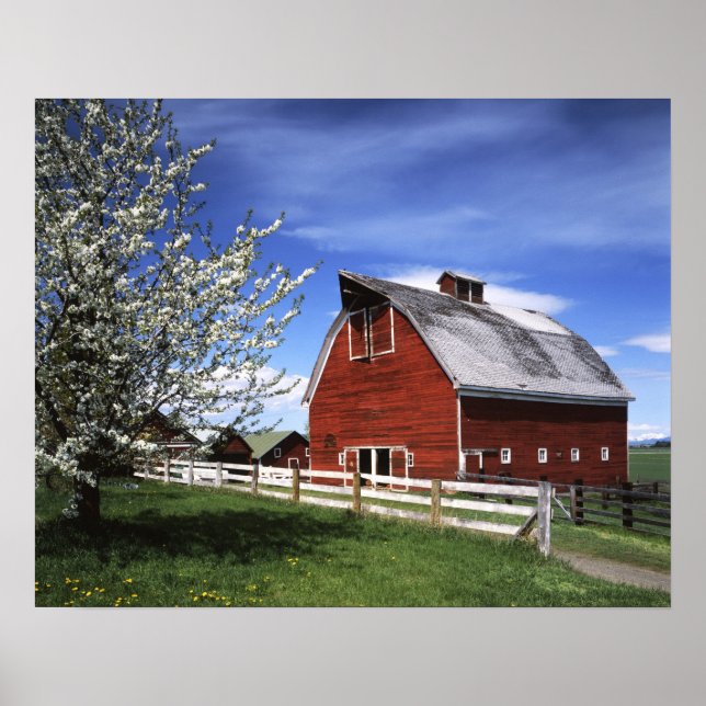 USA, Washington, Ellensburg, Barn Poster (Front)