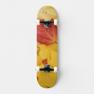 USA, Washington, Finch Arboretum, Red and Skateboard