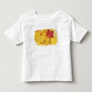 USA, Washington, Finch Arboretum, Red and Toddler T-shirt