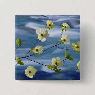 USA, Washington, Hood Canal. Pacific dogwood 2 Inch Square Button