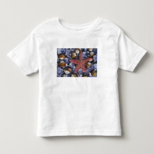 USA, Washington, Hood Canal, Seabeck. Close-up Toddler T-shirt