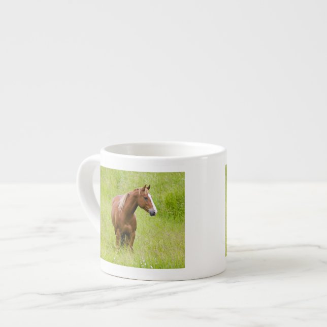 USA, Washington, Horse in Spring Field, Espresso Cup (Front Left)
