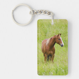 USA, Washington, Horse in Spring Field, Keychain