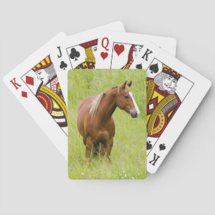 USA, Washington, Horse in Spring Field, Playing Cards