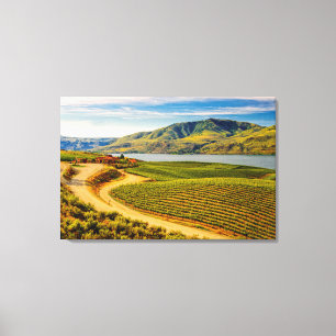 USA, Washington, Lake Chelan. Benson Vineyards Canvas Print