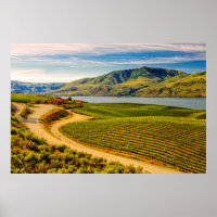 USA, Washington, Lake Chelan. Benson Vineyards