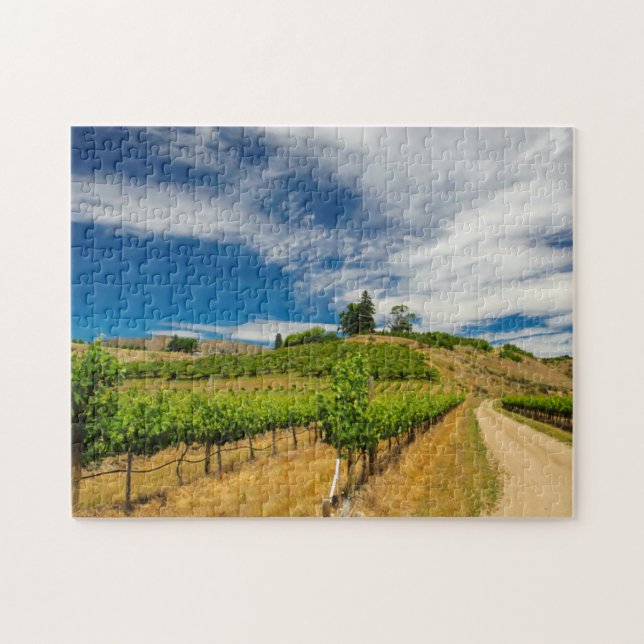 USA, Washington, Lake Chelan. Vineyard 3 Jigsaw Puzzle (Horizontal)
