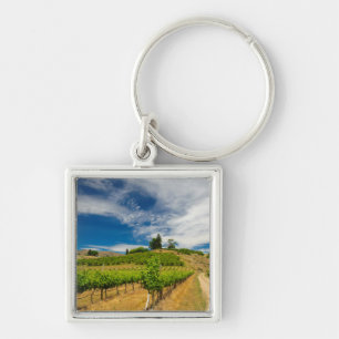 USA, Washington, Lake Chelan. Vineyard 3 Keychain