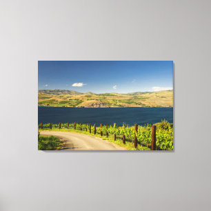USA, Washington, Lake Chelan. Vineyard Canvas Print