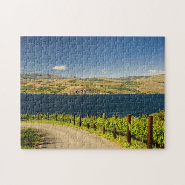 USA, Washington, Lake Chelan. Vineyard Jigsaw Puzzle (Horizontal)