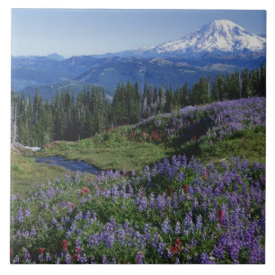 USA, Washington Mt. Adams Wilderness, Meadows Tile