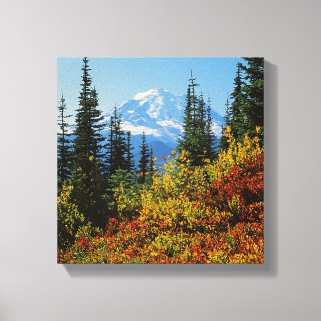 USA, Washington, Mt. Rainier National Park 2 Canvas Print (Front)