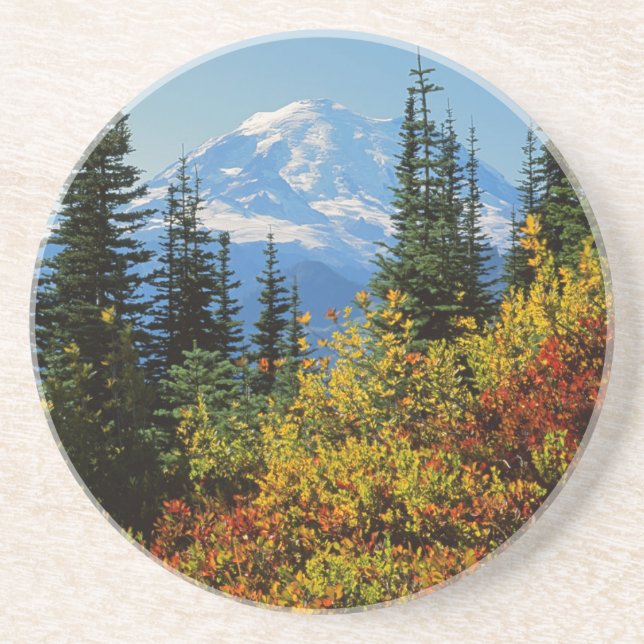 USA, Washington, Mt. Rainier National Park 2 Coaster (Front)
