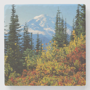 USA, Washington, Mt. Rainier National Park 2 Stone Coaster