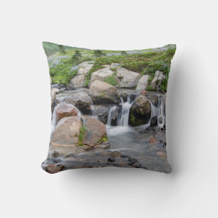 USA, Washington, Mt. Rainier National Park 3 Throw Pillow