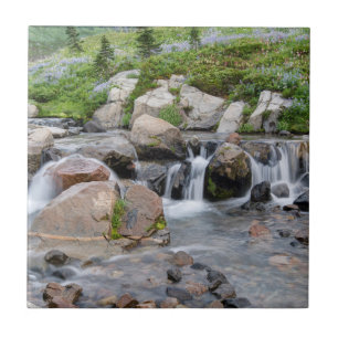 USA, Washington, Mt. Rainier National Park 3 Tile
