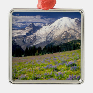 USA, Washington, Mt. Rainier National Park. Metal Ornament