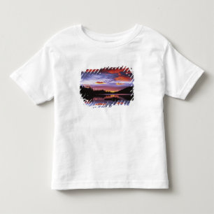USA, Washington, Mt. Rainier National Park, Toddler T-shirt