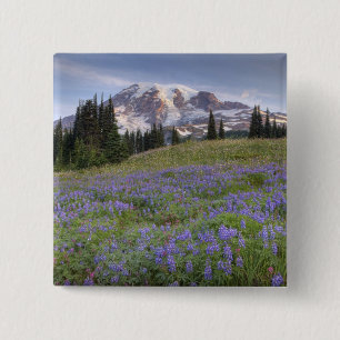 USA, Washington, Mt. Rainier NP, Mt. Rainier and 2 Inch Square Button