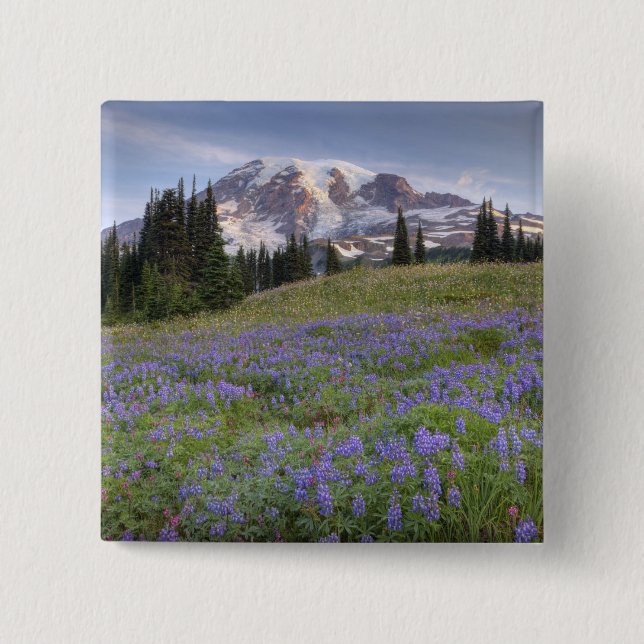 USA, Washington, Mt. Rainier NP, Mt. Rainier and 2 Inch Square Button (Front)
