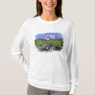 USA, Washington, Mt. Rainier NP, Mt. Rainier and 2 T-Shirt