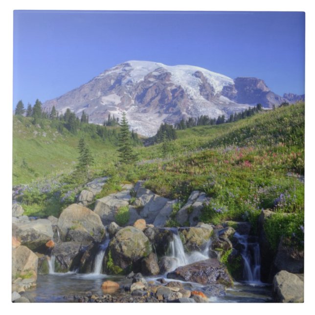 USA, Washington, Mt. Rainier NP, Mt. Rainier and 2 Tile (Front)