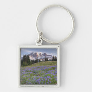USA, Washington, Mt. Rainier NP, Mt. Rainier and Keychain
