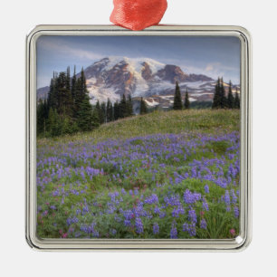 USA, Washington, Mt. Rainier NP, Mt. Rainier and Metal Ornament