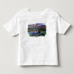 USA, Washington, Mt. Rainier NP, sunrise, Toddler T-shirt