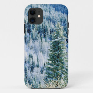 USA, Washington, Mt. Spokane State Park, Aspen 2 iPhone 11 Case