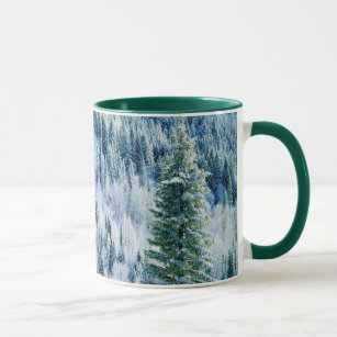 USA, Washington, Mt. Spokane State Park, Aspen 2 Mug