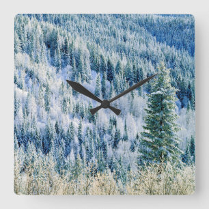 USA, Washington, Mt. Spokane State Park, Aspen 2 Square Wall Clock