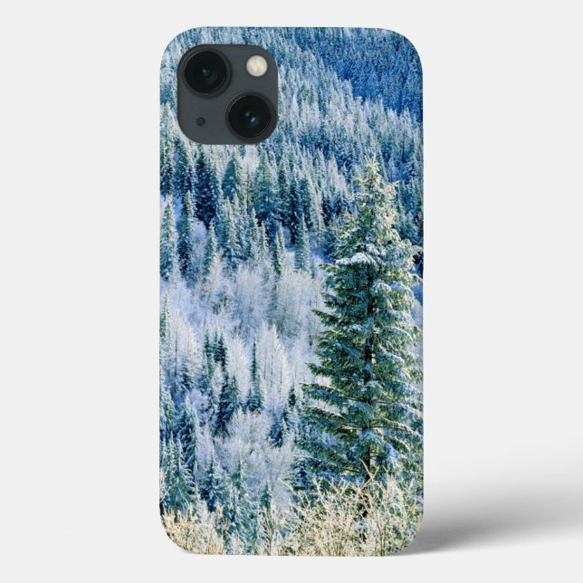 USA, Washington, Mt. Spokane State Park, Aspen Case-Mate iPhone Case (Back)
