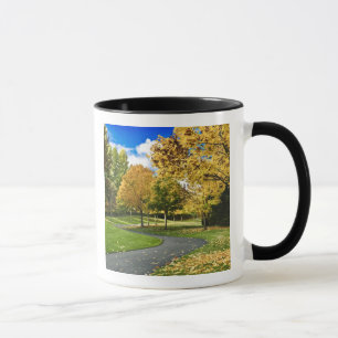 USA, Washington Mug