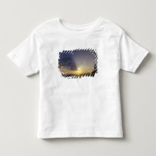 USA, Washington, near Port Townsend. Point Toddler T-shirt