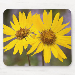 USA, Washington, Okanogan National Forest Mouse Pad