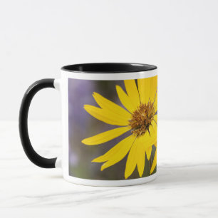 USA, Washington, Okanogan National Forest Mug