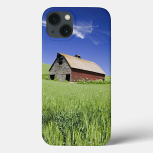USA, Washington, Old Red Barn in the Spring iPhone 13 Case
